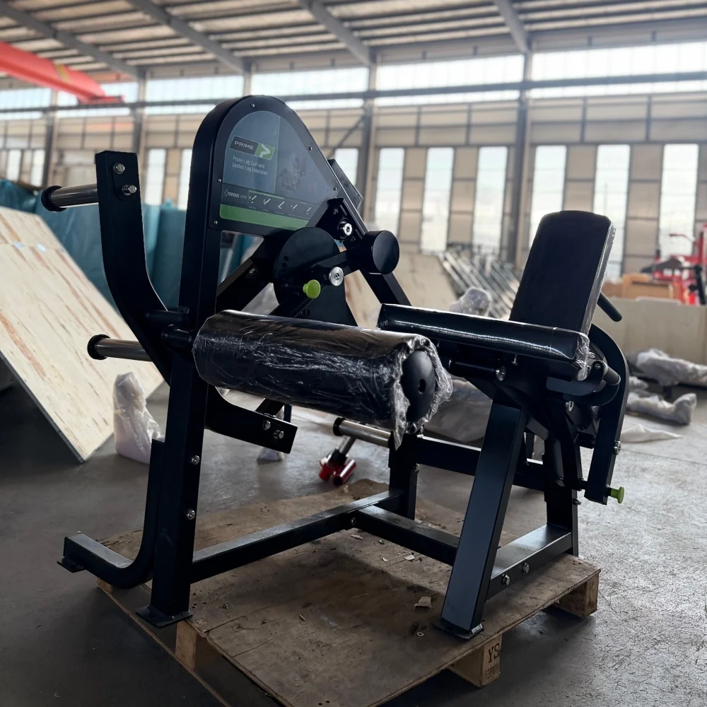 PM08 2-in-1 Leg Extension/Curl Machine Gym Equipment