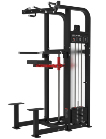 Adjustable Dip/Chin Assist Machine with Weight Stack - BICKFIT