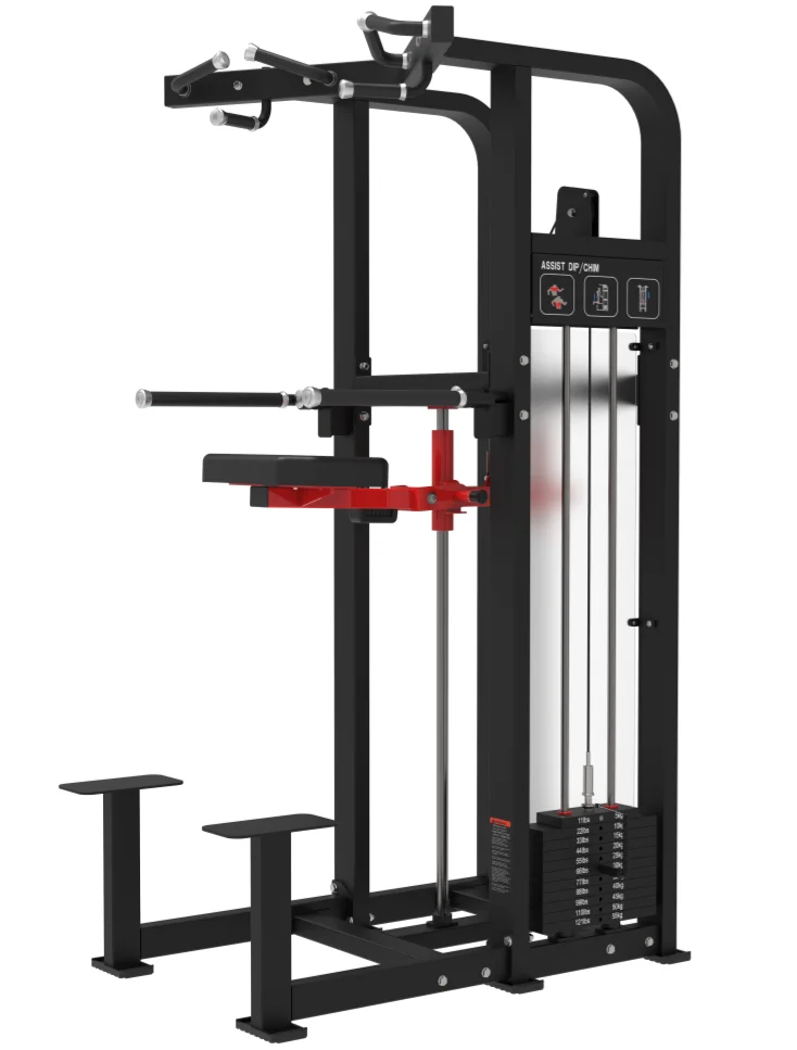 Adjustable Dip/Chin Assist Machine with Weight Stack - BICKFIT