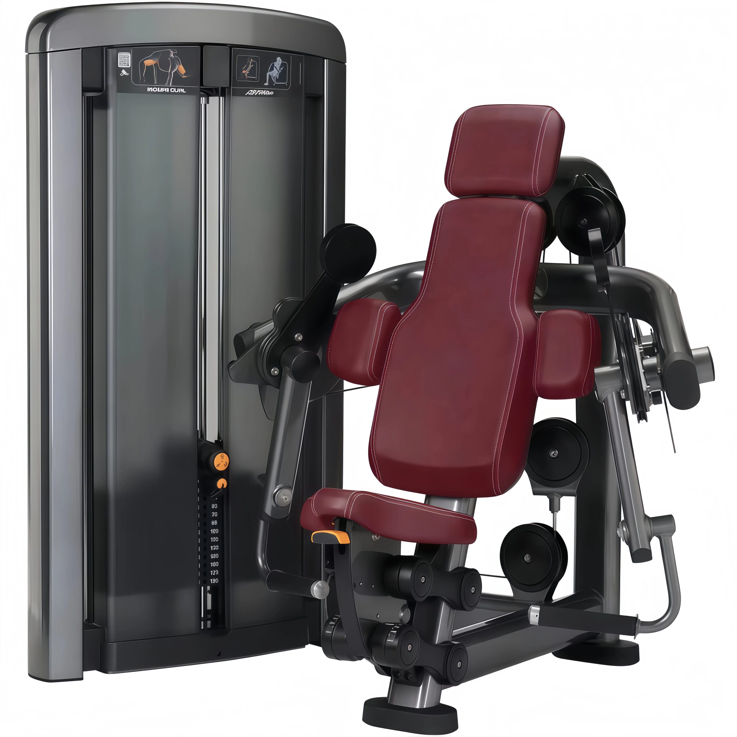 Chest & Biceps Trainer-Adjustable Multi-Function Steel Exercise Machine