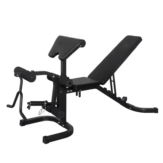 Adjustable Weight Bench with Leg Extension for Commercial Gyms