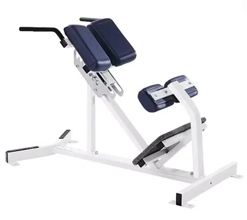 Commercial Back Extension Machine for Gym Fitness Equipment