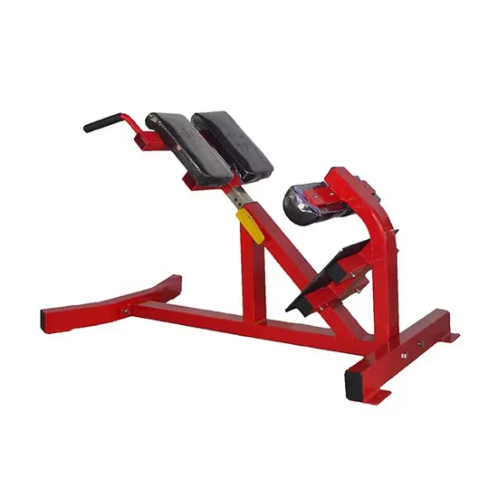 Commercial Back Extension Machine for Professional Gyms