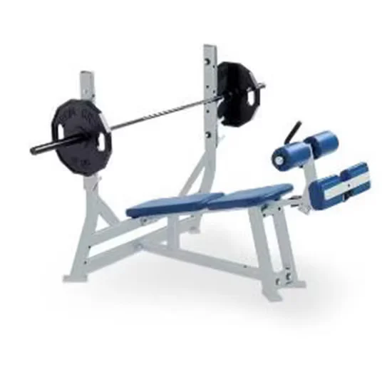 Commercial Decline Bench Machine for Professional Gyms