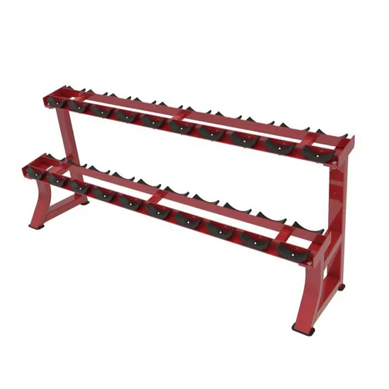 Commercial Dumbbell Rack 10 Pair Gym Storage Equipment