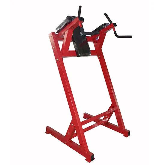 Commercial Leg Raise Machine Selectorized Abdominal Trainer for Gym