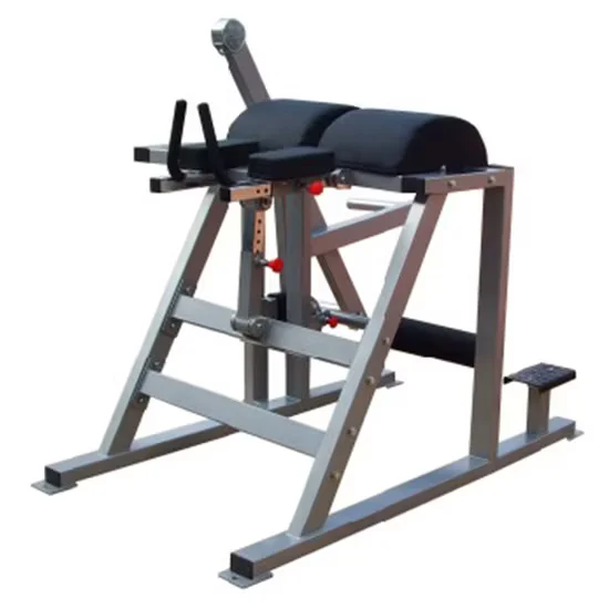 Commercial Reverse Hyper Extension Machine for Gym Use