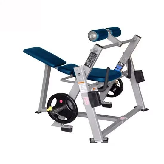 Commercial Selectorized Hip and Glute Machine for Gym
