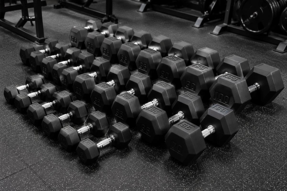 Wholesale Dumbbell Sets for Commercial Gym Setup | Bick Manufacturer